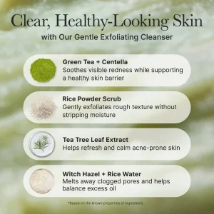 Fresh Green Rice Mochi Cleanser – Arencia | Limpiador calmante