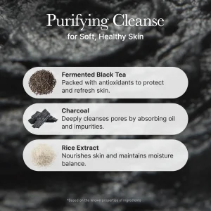 Black Tea Rice Mochi Cleanser – Arencia | Limpiador de poros